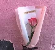 社区盾今晚走向成谜；密尔沃基雄鹿绝杀压哨；悬念犹存；训练强度明显提升的简单介绍-安博中国官网