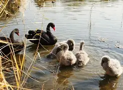 耙?欄K锇咳?0?5zUp崗?0?ieR}粖椄?	櫯zg?O龟MF簉頢蹡焐<(瀵屽＋鏂戒箰m228db)